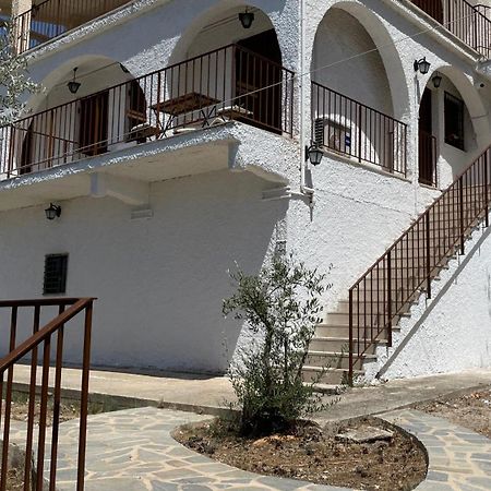טולון Zenso Studios מראה חיצוני תמונה